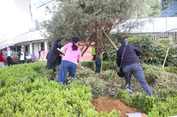 03杨保华副校长与七八级数学班校友为雪松培土