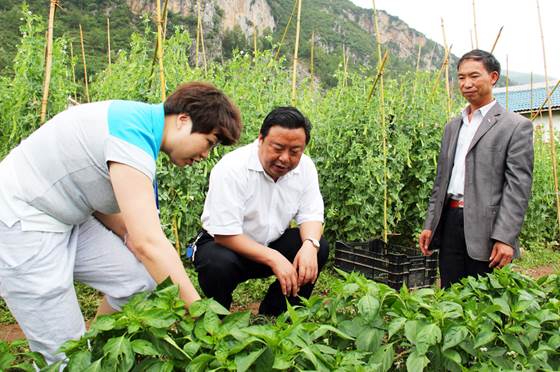 复件 (2) 复件 20130705075926108