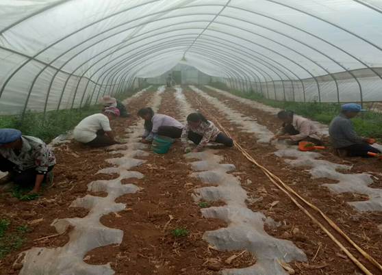 mmexport1529458583438