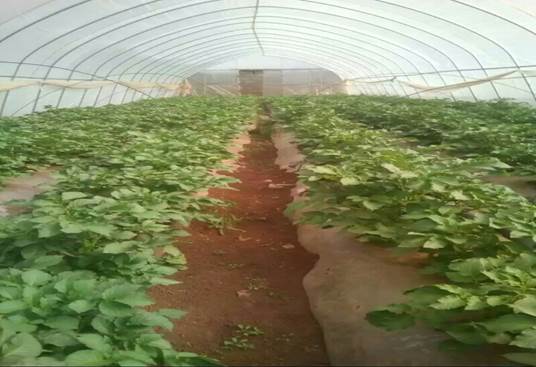 mmexport1513599792689