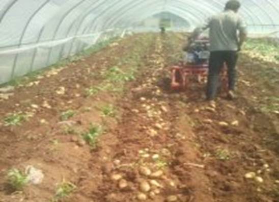 7ef05616b1954e0bed49b6ff5e641eef_dFYBAAAAAAAAnull&bo=IAMqBAAAAAAFByk!&rf=photolist&t=5