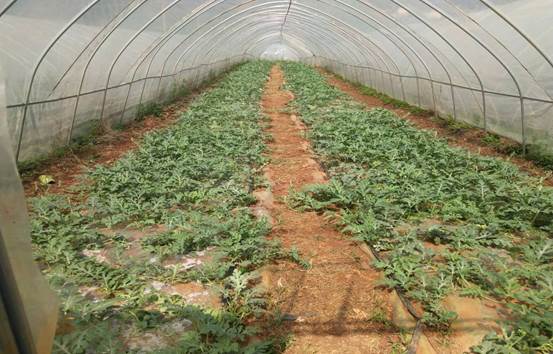 5B4C35E92D2F250F583B4C1FA7D62AF7