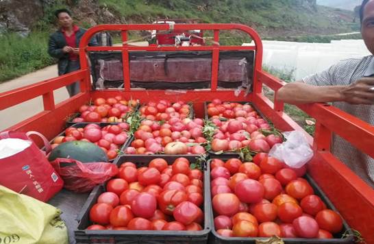 mmexport1503986481255