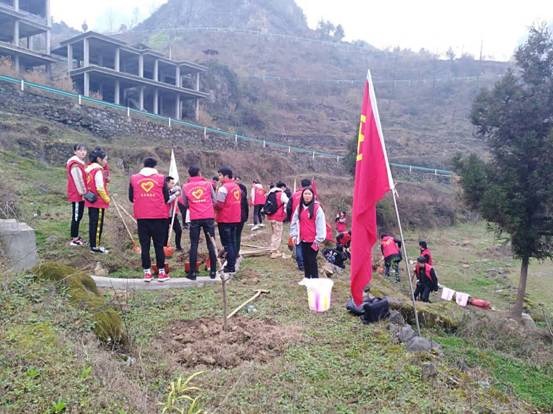 Cache_-127adee66905cb5a