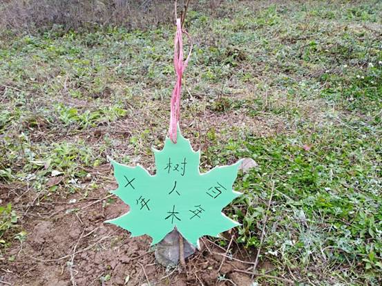 Cache_-5be0980e232baa68